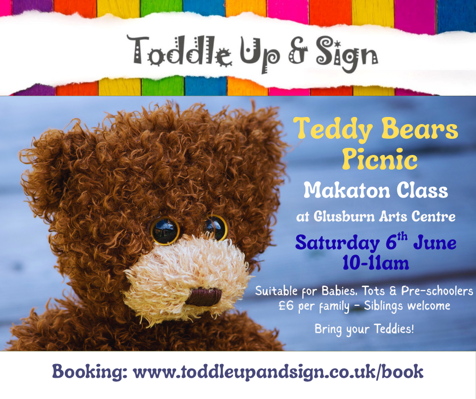Makaton Baby Sign Teddy Bers Picnic